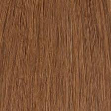 Load image into Gallery viewer, Model Model 3X Pre-Stretched Box Braid 26"