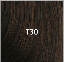 Load image into Gallery viewer, Model Model 3X Pre-Stretched Box Braid 26"
